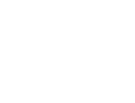 Visato Engineering Logo weiß