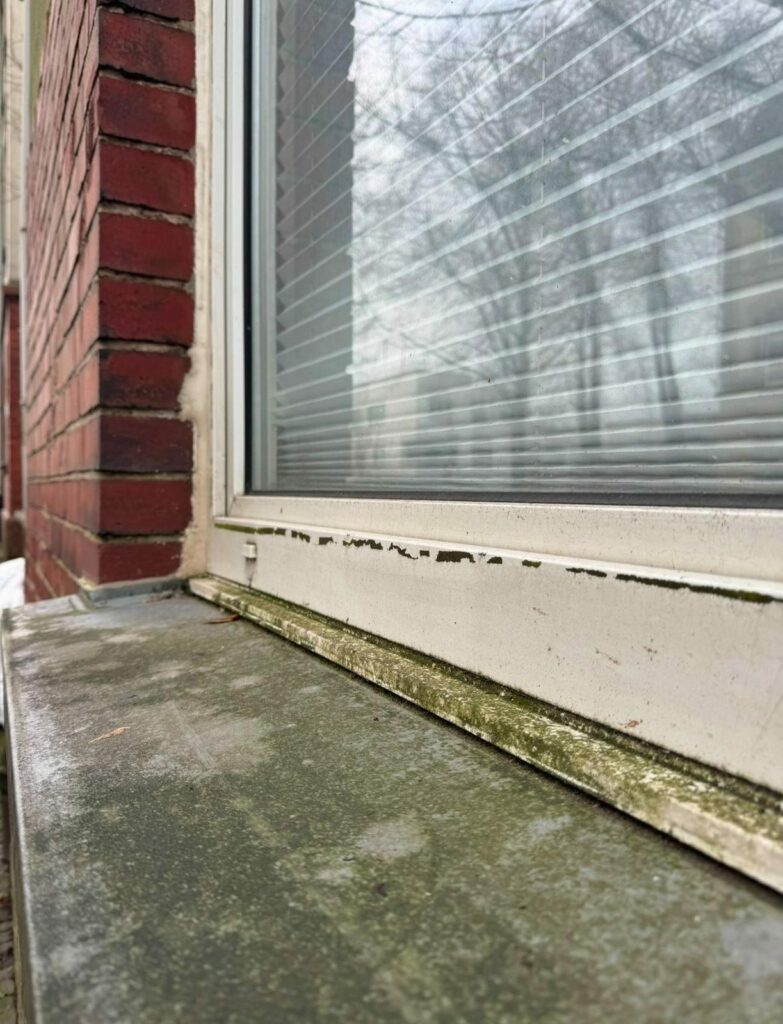 Bestand: Fensterbank und Rahmen mit Witterungsschäden